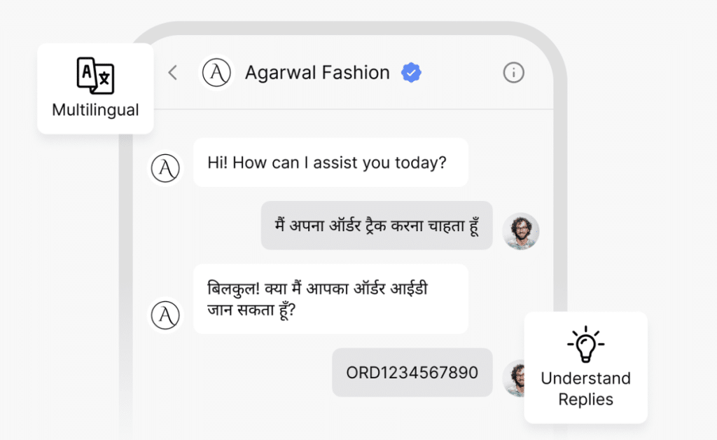 JoyzAI chatbot responding naturally in Hindi and English